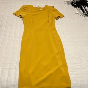 Calvin Klein Dress